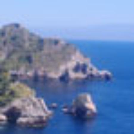 FreebRds World Burrito